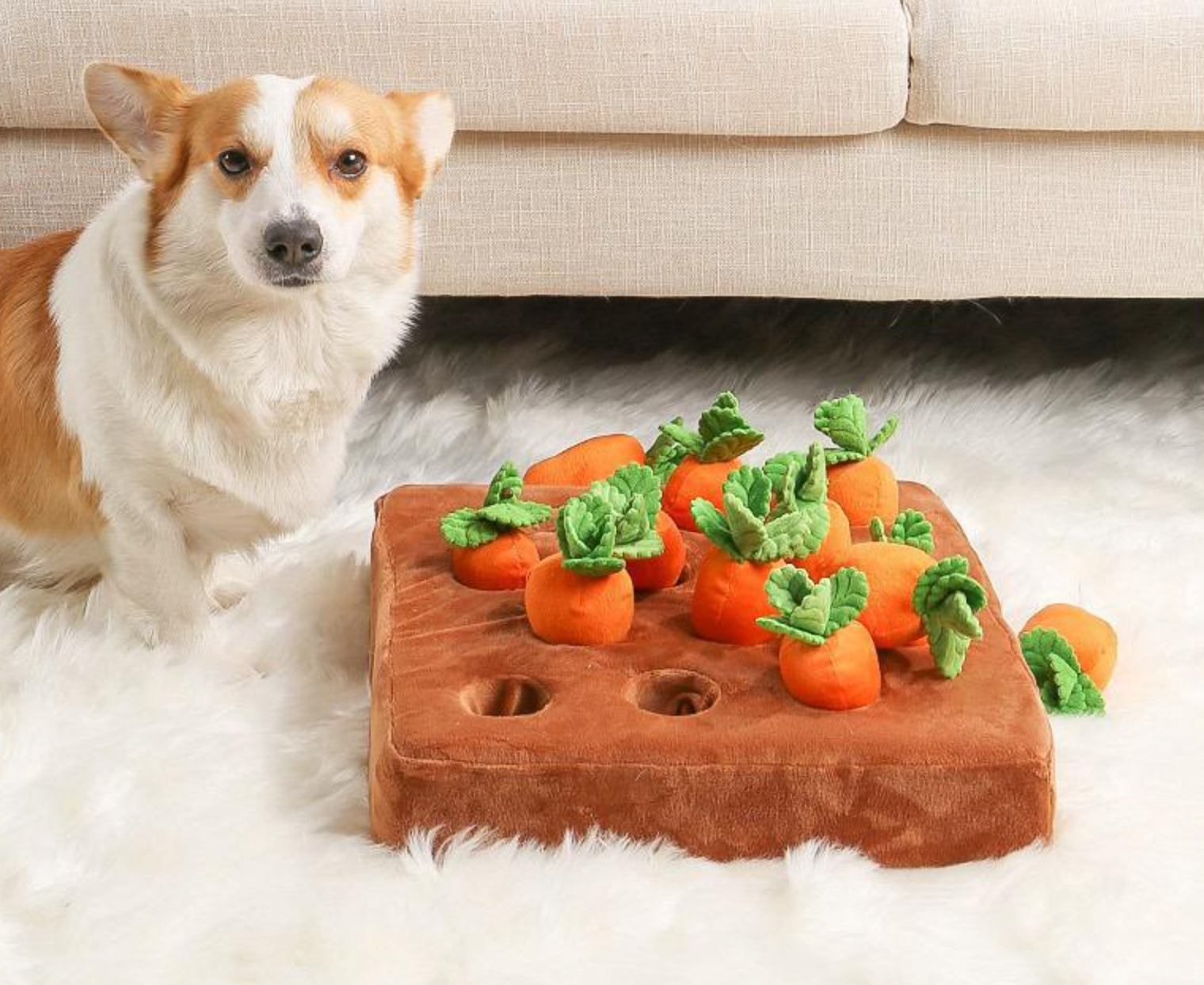 ألعاب مزرعة الجزر