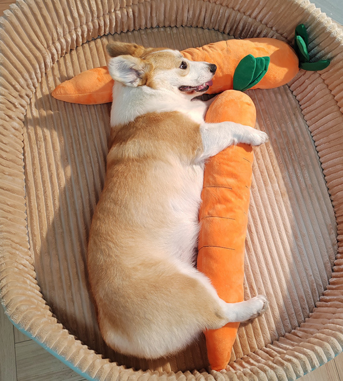 屏幕截图 2024-03-06 201058.png