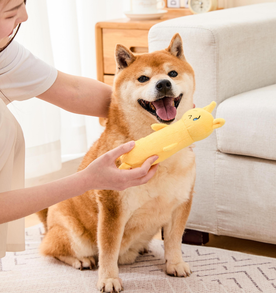 أصفر طويل الكلب صار اللعب التفاعلية الكلب لعب صعبة الكلب مضغ اللعب مخصص رائعتين لعب لينة للسلالة الصغيرة